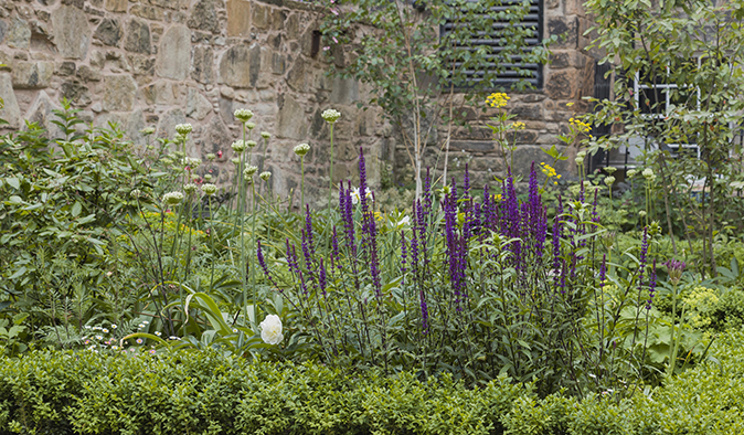 A large city garden design in Edinburgh